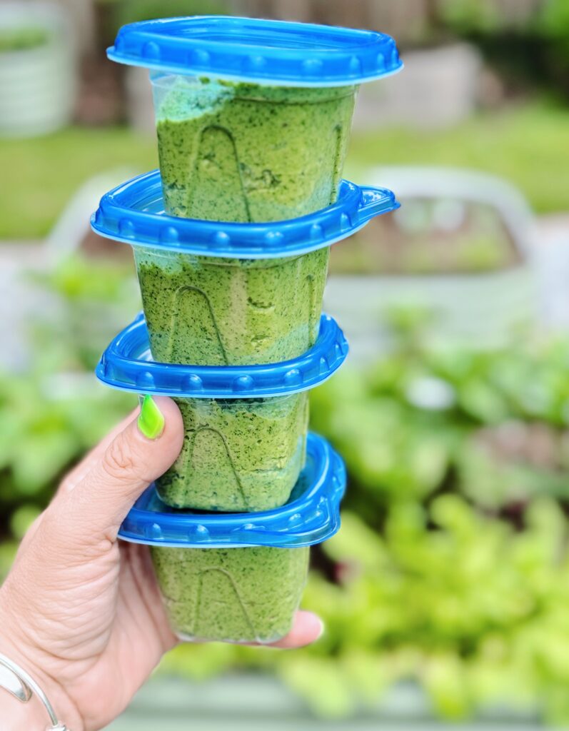 four small containers of radish greens pesto ready to go in the freezer