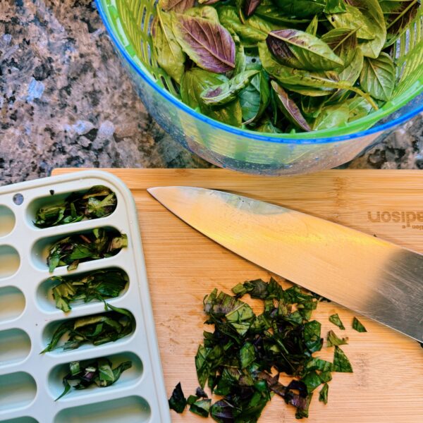 basil being chopped and placed in ice cube trays